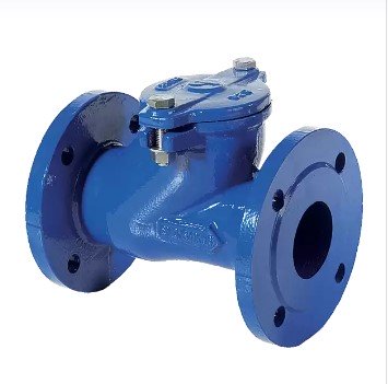 Brandoni Sewage Check Valves