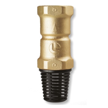 Luise Brass Foot and Check Valve