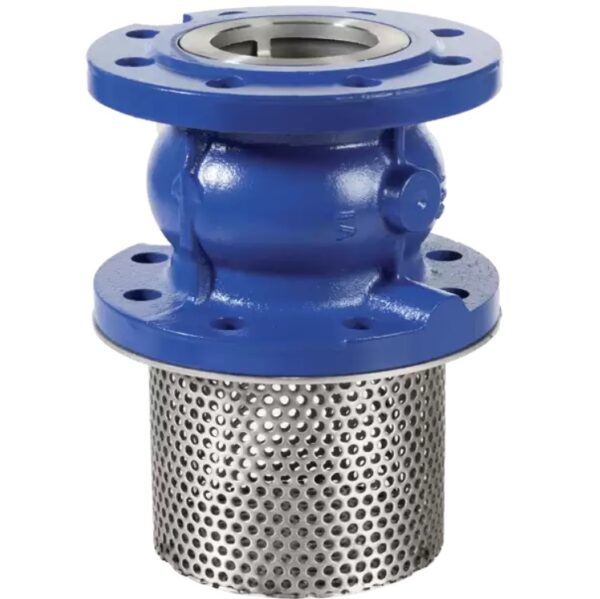 Brandoni Foot Valves